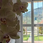 Rosi Guest house 3*
